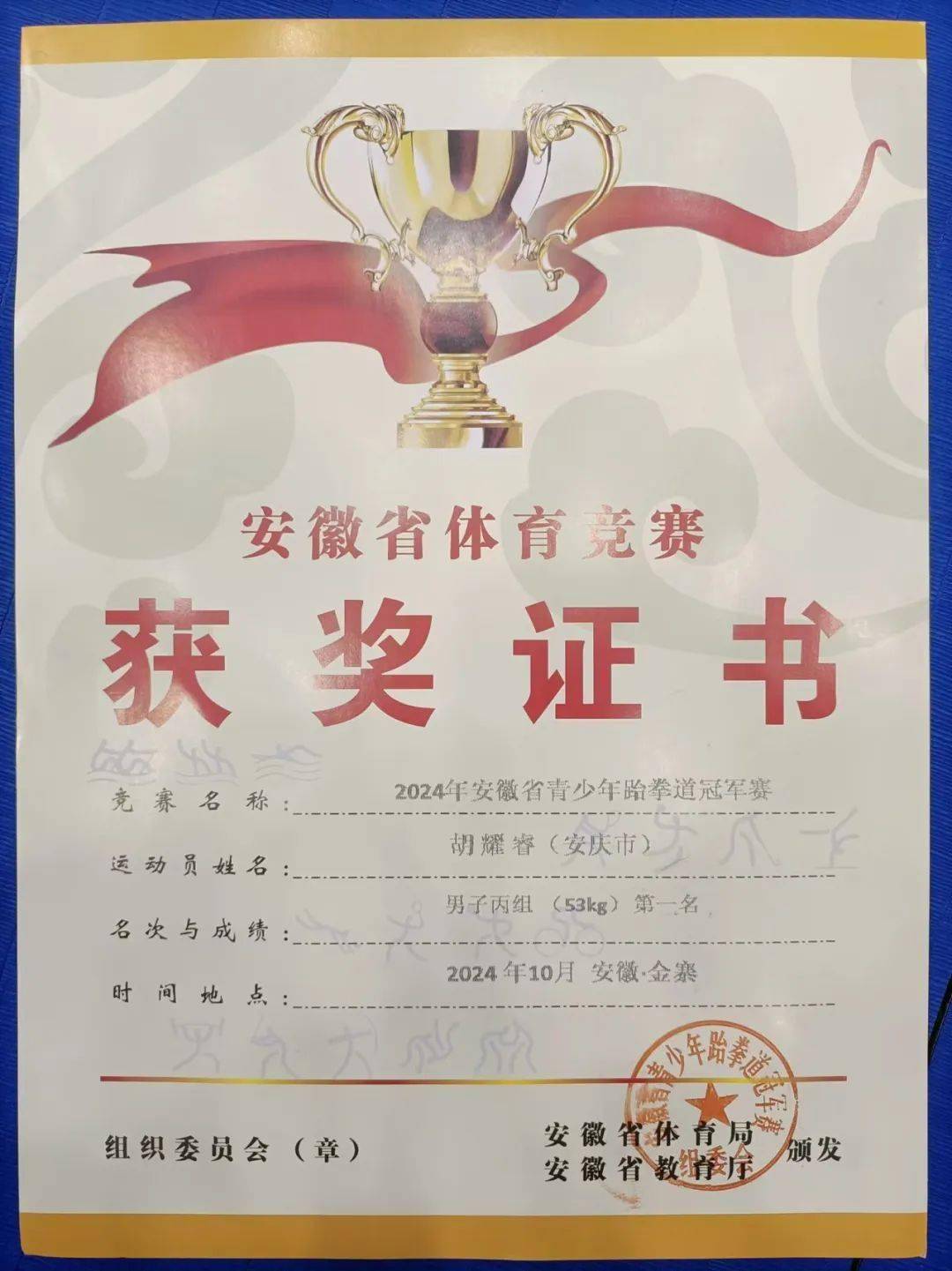 景博JBO体育登录入口-跆拳道选手夺得金牌，实力超群(跆拳道选手夺得金牌,实力超群的是谁)